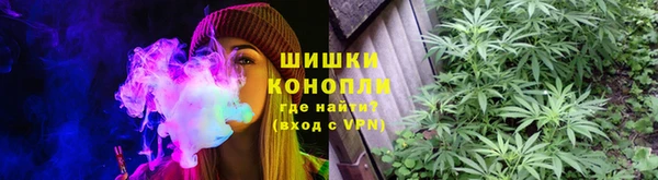 мяу мяу мука Лабытнанги