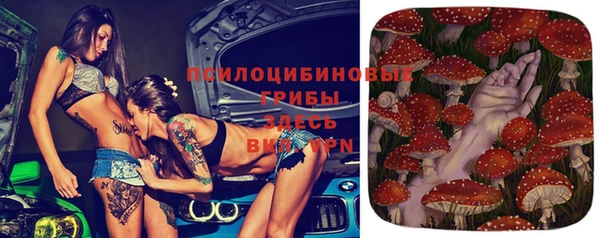 мяу мяу мука Лабытнанги