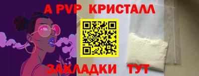 хмурый Кингисепп