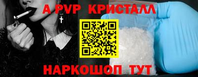 хмурый Кингисепп