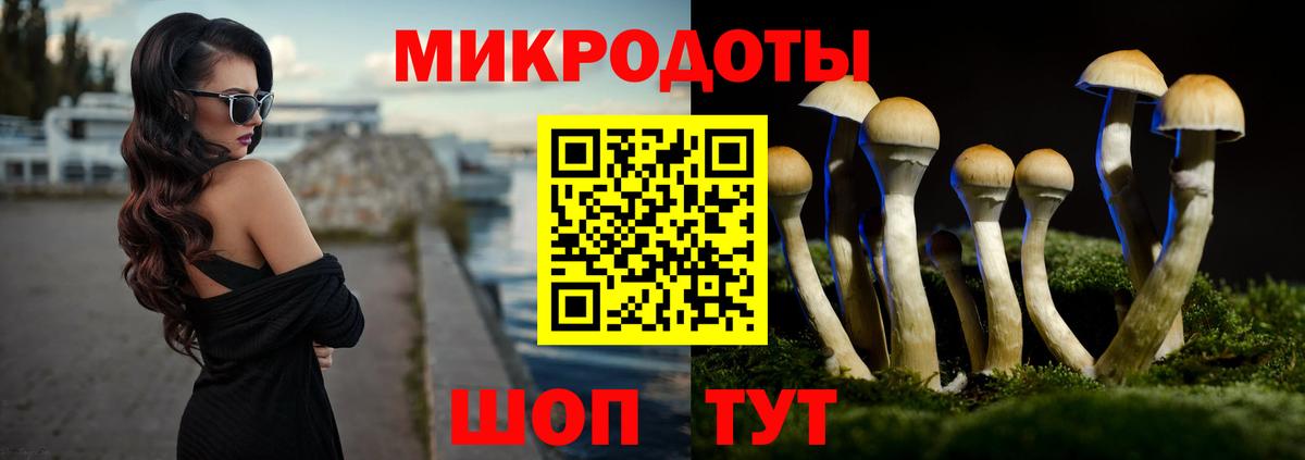Южно-Сахалинск  Галлюциногенные грибы Psilocybine cubensis  Вход с VPN 
